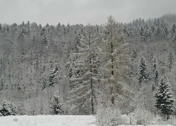 בית נופש Bukowy Zakatek
